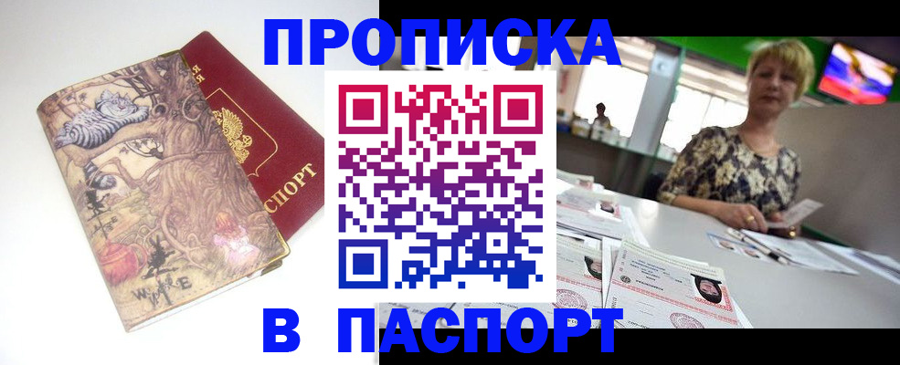 прописка гарантия в Кингисеппе